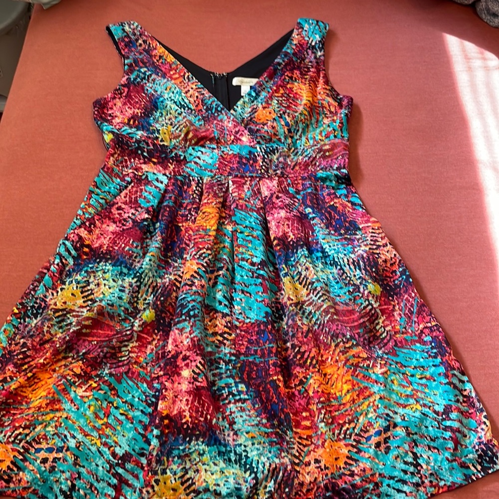 Dress Barn multicolor dress